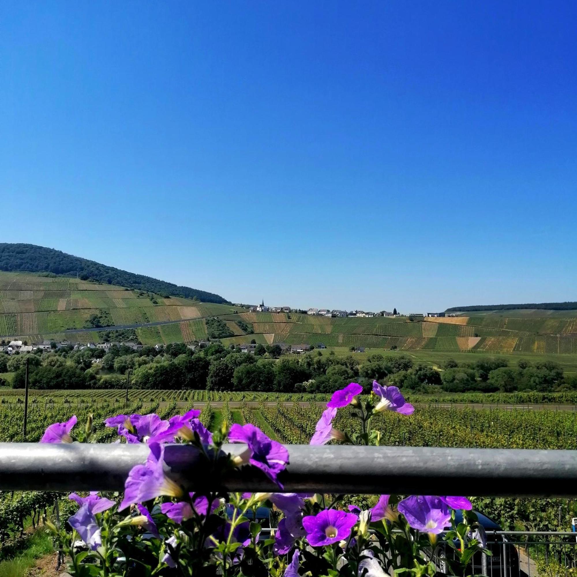 Weingut Tiliahof Bed & Breakfast Brauneberg Exterior photo